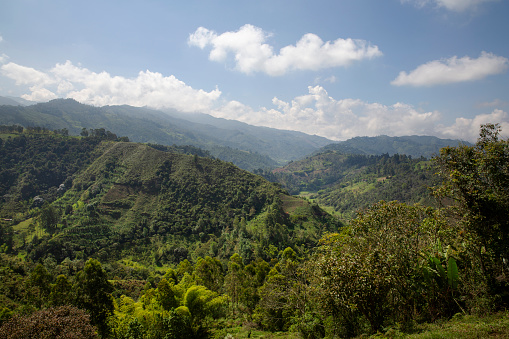 Looking out of the greens hills and mountains of the coffee region near Salento  - a major coffee growing region in Colombia.Colombian coffee is one of the finest in the world and a major export.