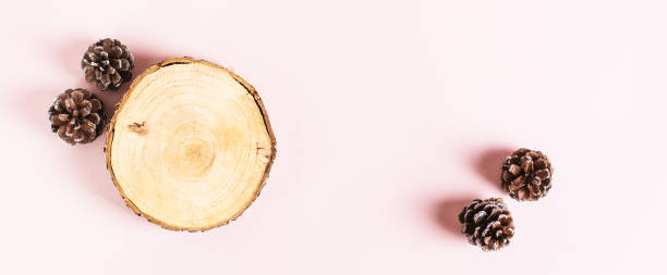 istock Tree trunk cut and pine cones on pink background top view web banner 1879552444