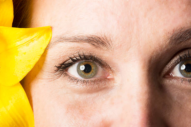 Closeup of woman's eye with central heterochromia. Horizontal full frame closeup studio shot of mid adult woman with central heterochromia and part of yellow lily. hazel blue eyes stock pictures, royalty-free photos & images