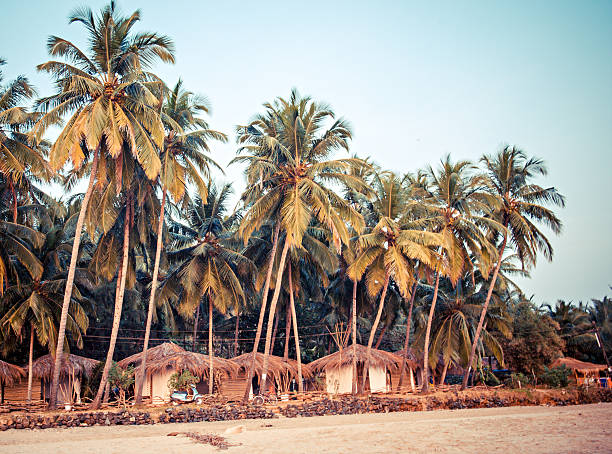 istock Palm trees and reed huts on a beach at sunset 187956436