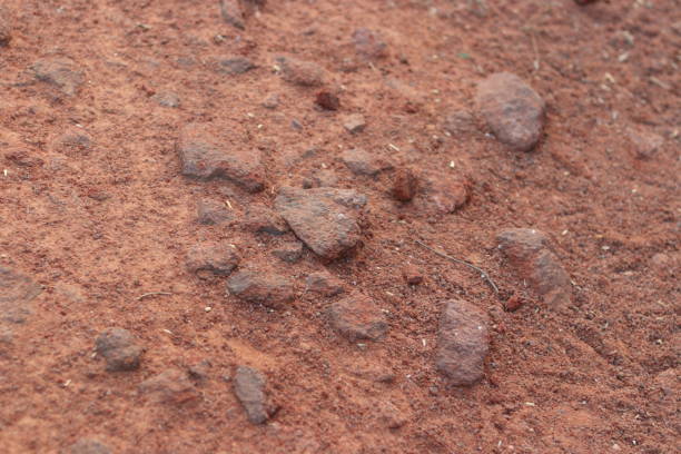 istock Red and brown pebbles and dirt on the ground in sunlight, large pebbles 1879575196