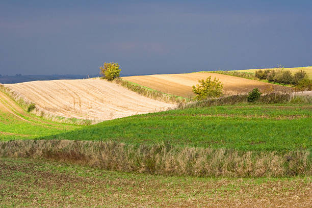 istock Polish countryside landscape 187958279