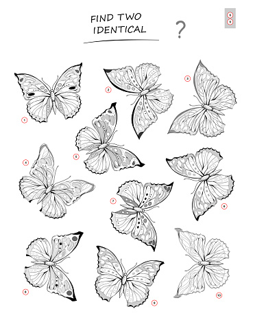 Logic puzzle game for children and adults. Find two identical butterflies. Printable page for kids brain teaser book. Developing spatial thinking skills. IQ test. Hand-drawn vector cartoon image.