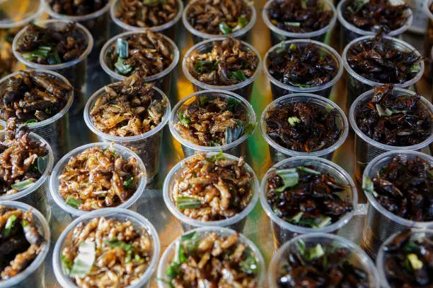 Photo of Deep fried crickets  in plastic cup at street market