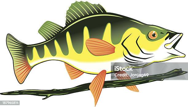 Poleiro De Peixe - Arte vetorial de stock e mais imagens de Peixe - Peixe, Amarelo, Perca