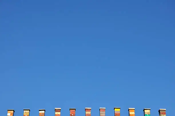 Coloured beehives and clear blue sky.