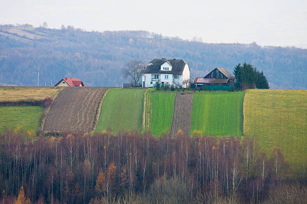 istock Polish countryside landscape in early summer 187974054