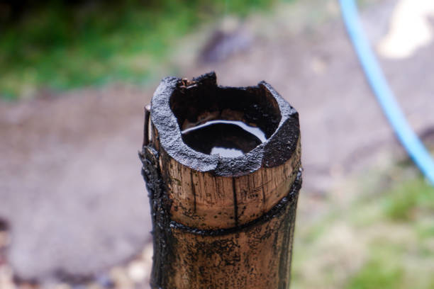 istock rainwater puddles in holes in bamboo segments 1879763821