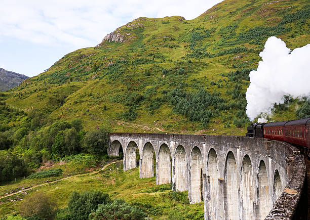 istock Scenic view of steam train in the mountains 187976700