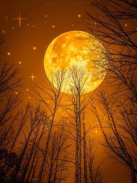 istock Golden Moon, Dramatic Night Sky, Tree Silhouettes 1879802167