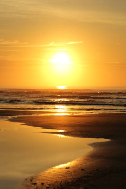 istock Orange horizon with sun light reflections on sky and water 1879808601