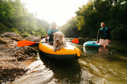 Photo of cute puppy engaged in water sports along the river with its owners.