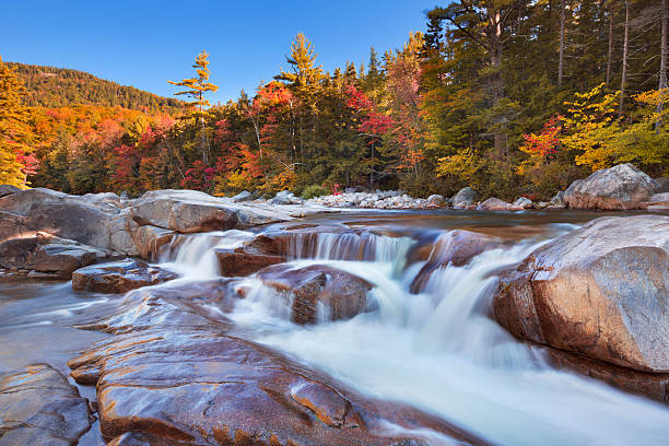 Multi-coloured fall foliage along the Swift River Lower Falls, White Mountains National Forest in New Hampshire, USA.