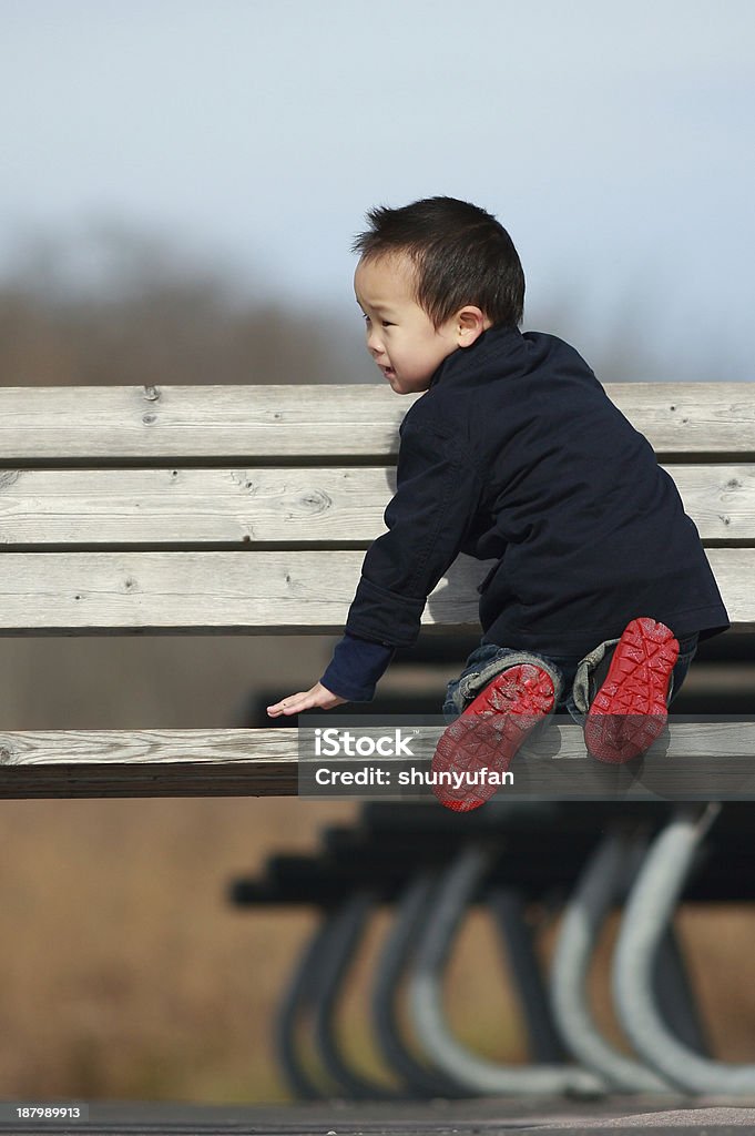 2 anos de idade menino - Foto de stock de Asiático e indiano royalty-free