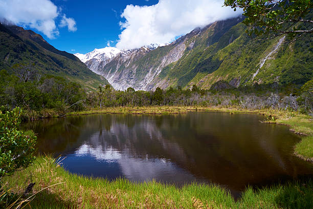 Looking across Peters Pool towards Franz Josef Glacier on New Zealand's South Island. 