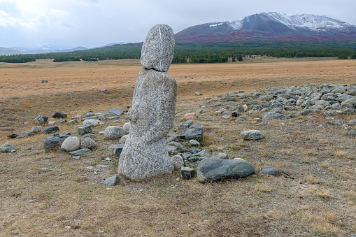 Large boulder with a flat top on a background of green grass. Focus on the foreground.