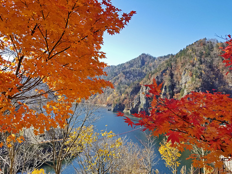 Scenic view of lake, mountains, and foliage at Hoheikyo Dam State Park, in Sapporo, Japan, on a crispy, clear, autumn day
