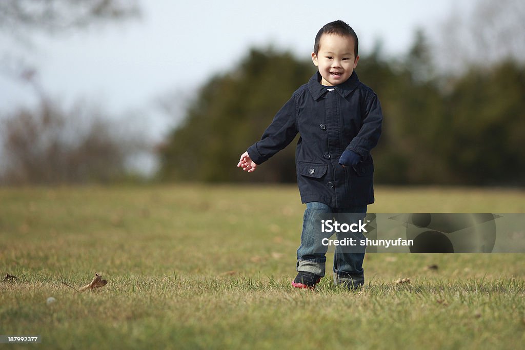 Due anno vecchio ragazzo - Foto stock royalty-free di Bambini maschi