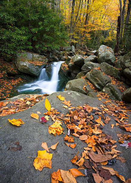istock Fall Colors in the Smokies 187994210