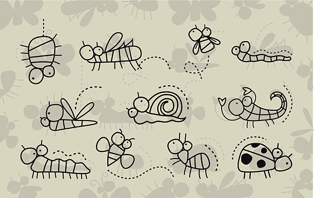 Insect collection Vector illustration of insects collection, Sketch of insects, Isolated on the gray background ant clipart pictures stock illustrations