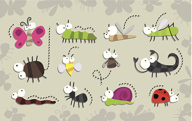 Insects collection Vector illustration of cute insects collection, Isolated on gray background, Funny Cartoon characters painted grasshopper stock illustrations