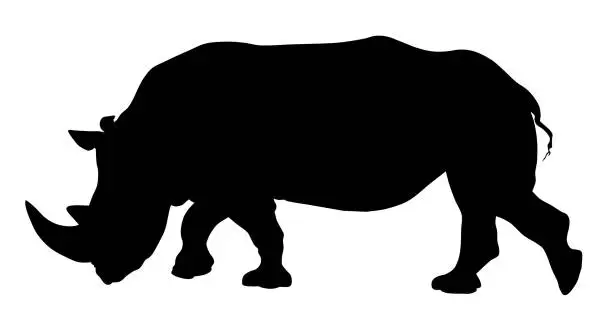 Vector illustration of Rhinoceros