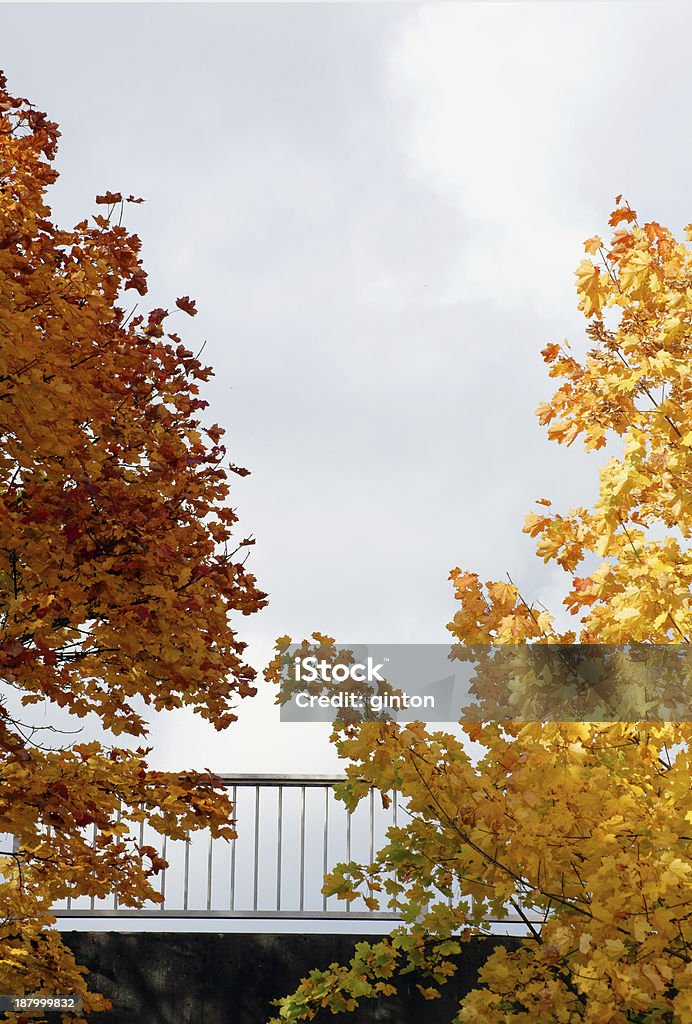 Bridge railing in autumn The photograph of a bridge surrounded by autumn leaves. Architecture Stock Photo