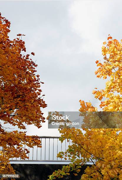 Bridge Railing In Autumn Stock Photo - Download Image Now - Architecture, Autumn, Back Lit