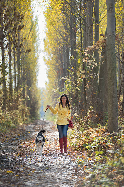 istock Girl with her dog 188000294