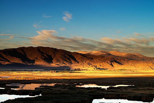 istock Reeds and lake 188000793