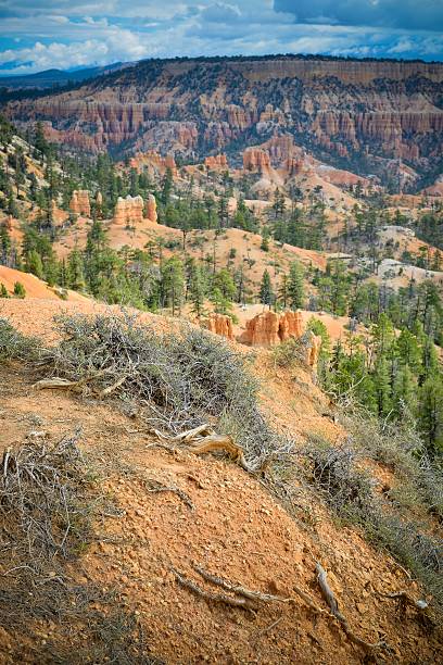 istock Bryce Canyon National Park 188011931