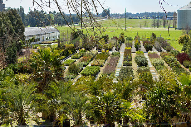 istock Greenhouse - Plants Nursery 188012589