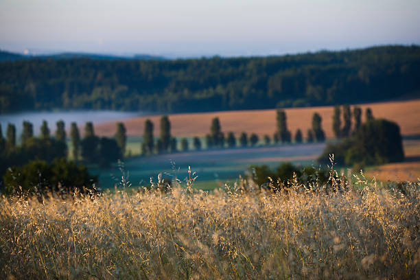 romantic countryside stock photo