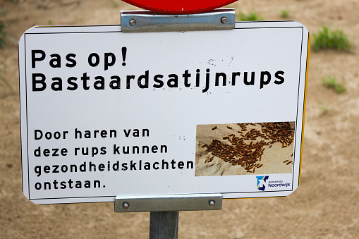 Warning sign for bastard satin caterpillar (Chrysorrhoea) in the dunes of Noordwijk in the Netherlands