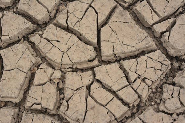 istock sample of dry brown earth with cracks isolated textured 1880159364