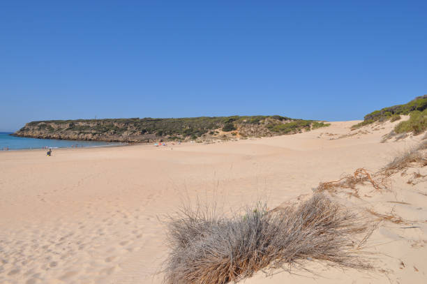 istock The beach in Bolonia 1880162415