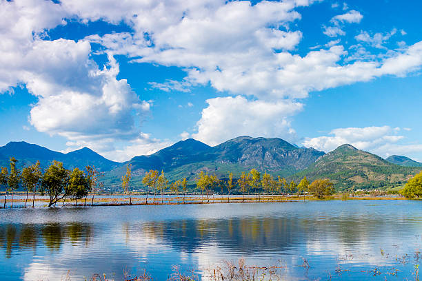 outono de wetland - lijiang landscape wetland marsh - fotografias e filmes do acervo