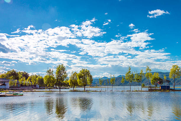 outono de wetland - lijiang landscape wetland marsh - fotografias e filmes do acervo