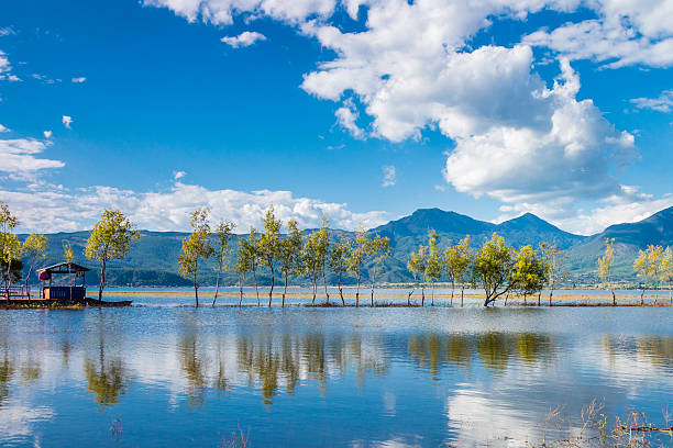 automne zone humide - lijiang landscape wetland marsh photos et images de collection