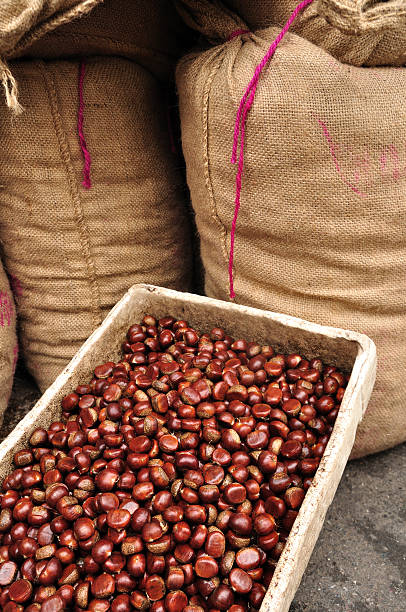 istock Chinese chestnuts in foam box and bags 188017191