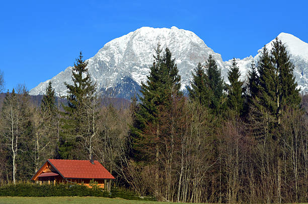 istock Vacation House near forest 188017320