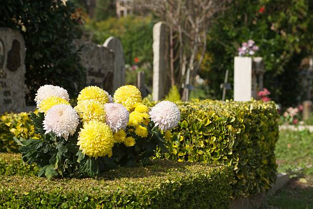 Flowers in cemetery stock photo