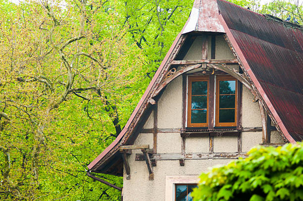 istock old abandoned house in the woods 188020969