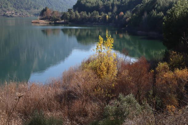 istock Magnificent lake view, nature, forest, mountain and landscape. 1880222151