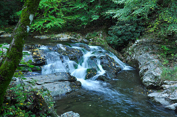 appalachian cachoeiras - rapid appalachian mountains autumn water - fotografias e filmes do acervo