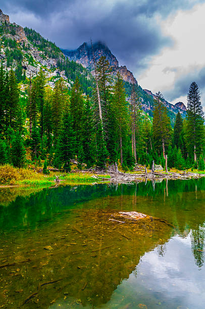 istock Cascade Creek - Grand Teton National Park 188023450