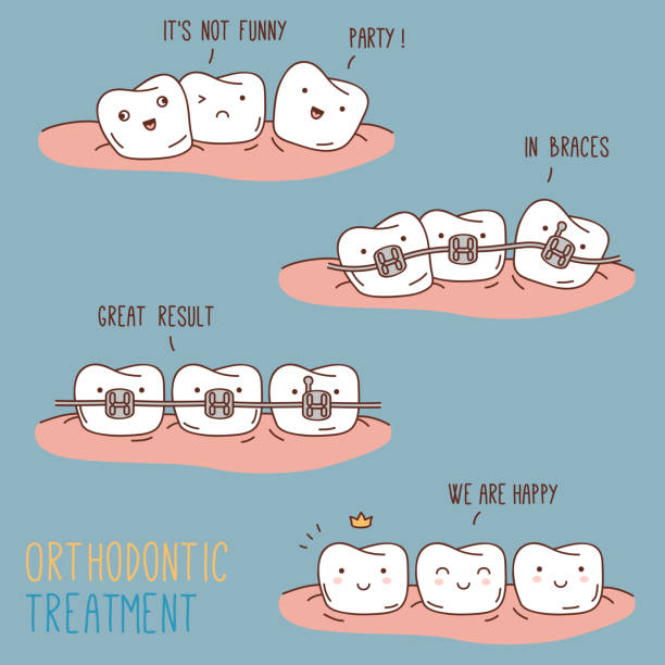 illustrations, cliparts, dessins animés et icônes de bandes dessinées sur orthodontic soin. - human teeth vector illustration and painting cartoon