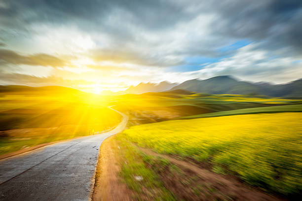 istock country road go through the Canola field 188026780