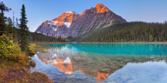 Mount Edith Cavell reflected in Cavell Lake in Jasper National Park, Canada. Photographed at sunrise. A seamlessly stitched panoramic image.