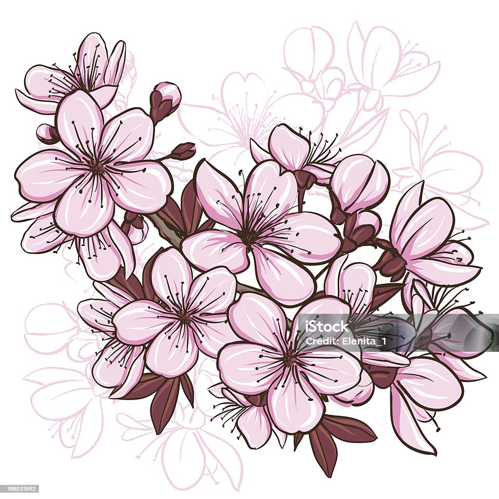 Cherry blossom Cherry blossom. Decorative floral illustration of sakura flowers Beauty stock vector